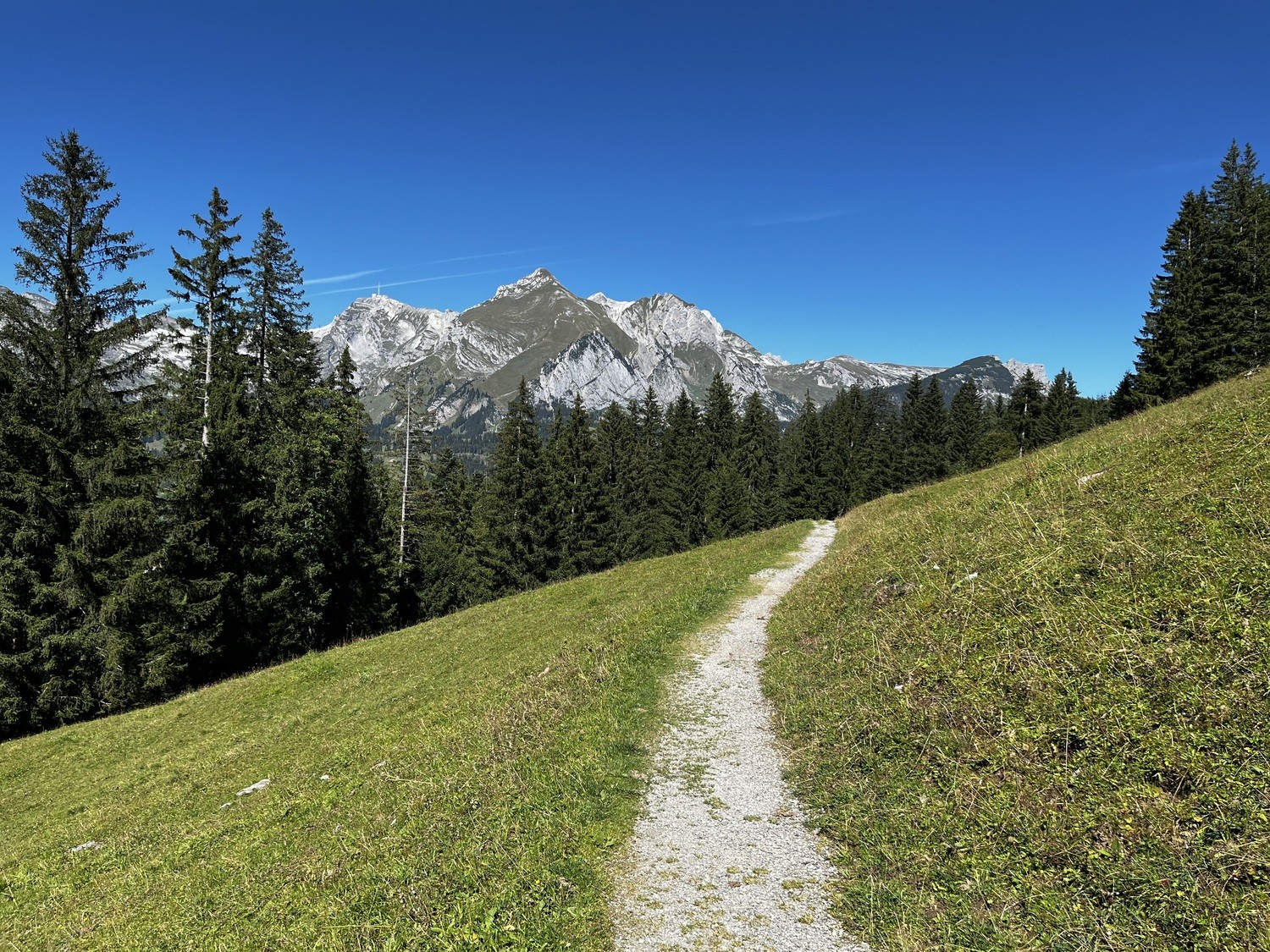 Hiking Camping In Toggenburg Dominik Birk